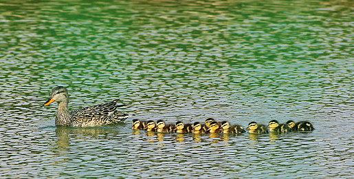 觉醒英灵之力，对抗无尽尸潮！《轮回保险公司》现已公开Steam页面！